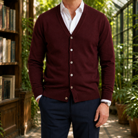 Pascal V Neck Sweater