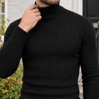 Pascal Turtleneck Sweater