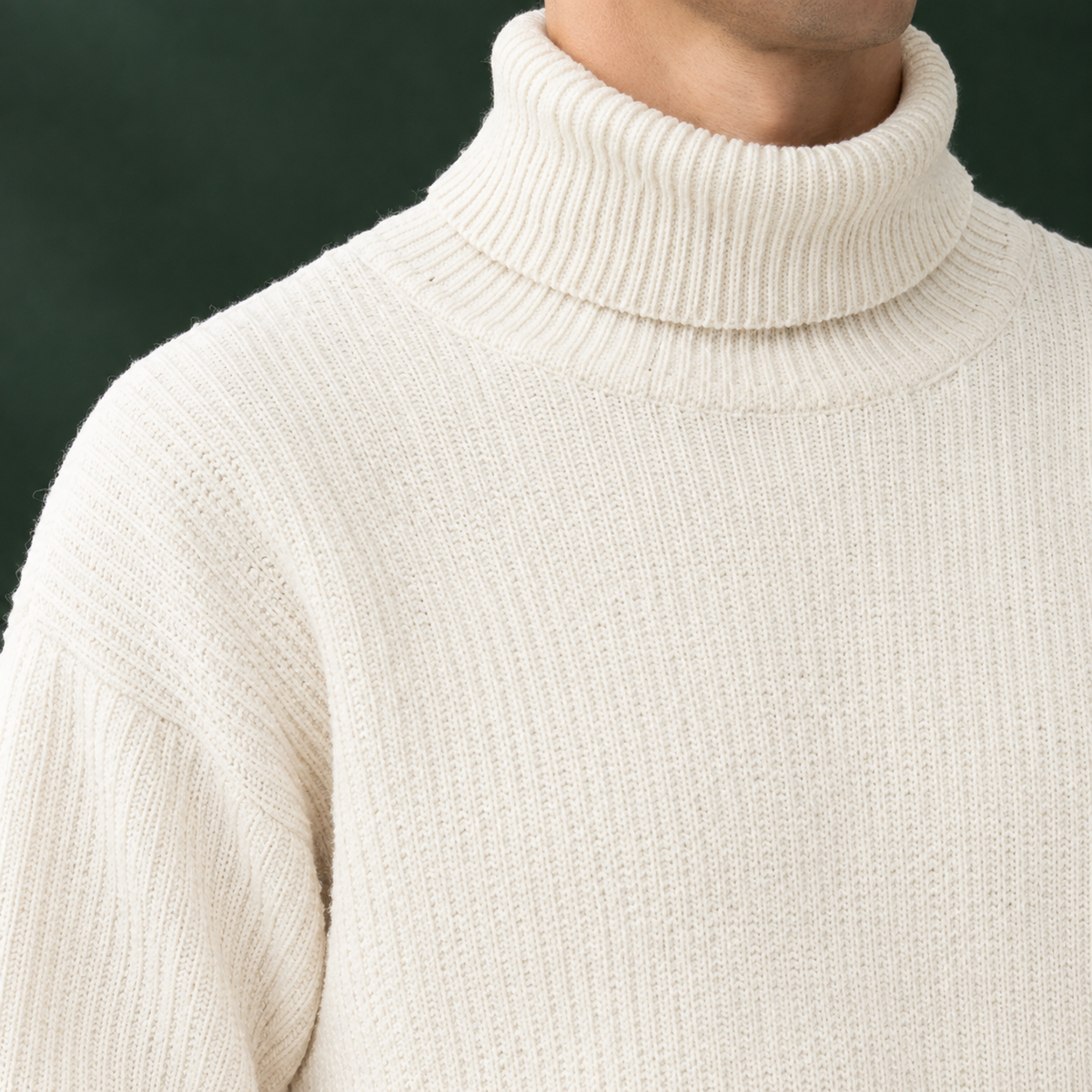 Sylvester Turtleneck Sweater