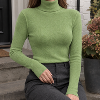 Adeline-Jade Ribbed Turtleneck
